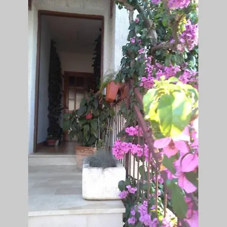 Apartment Luce 1 &